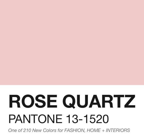 Pantone rose